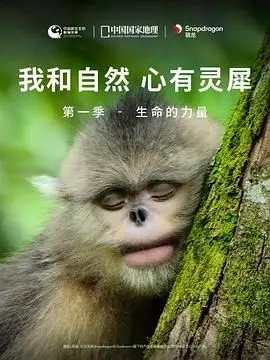 《我和自然 心有灵犀》第一季：生命的力量，看哭无数人的纪录片，你准备好了吗？