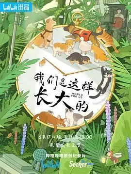 《我们是这样长大的》：铁血硬汉的成长史？这部“动作片”有点意思！